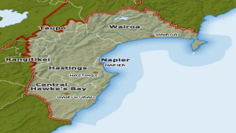 Hawke's Bay lines company to offer business users fibre