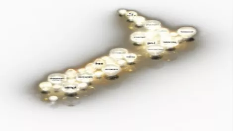 Micropartnerawards09graphic