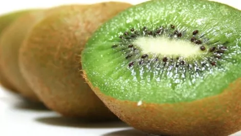 Zespri says kiwifruit volumes back to pre-Psa volumes as new season kicks off