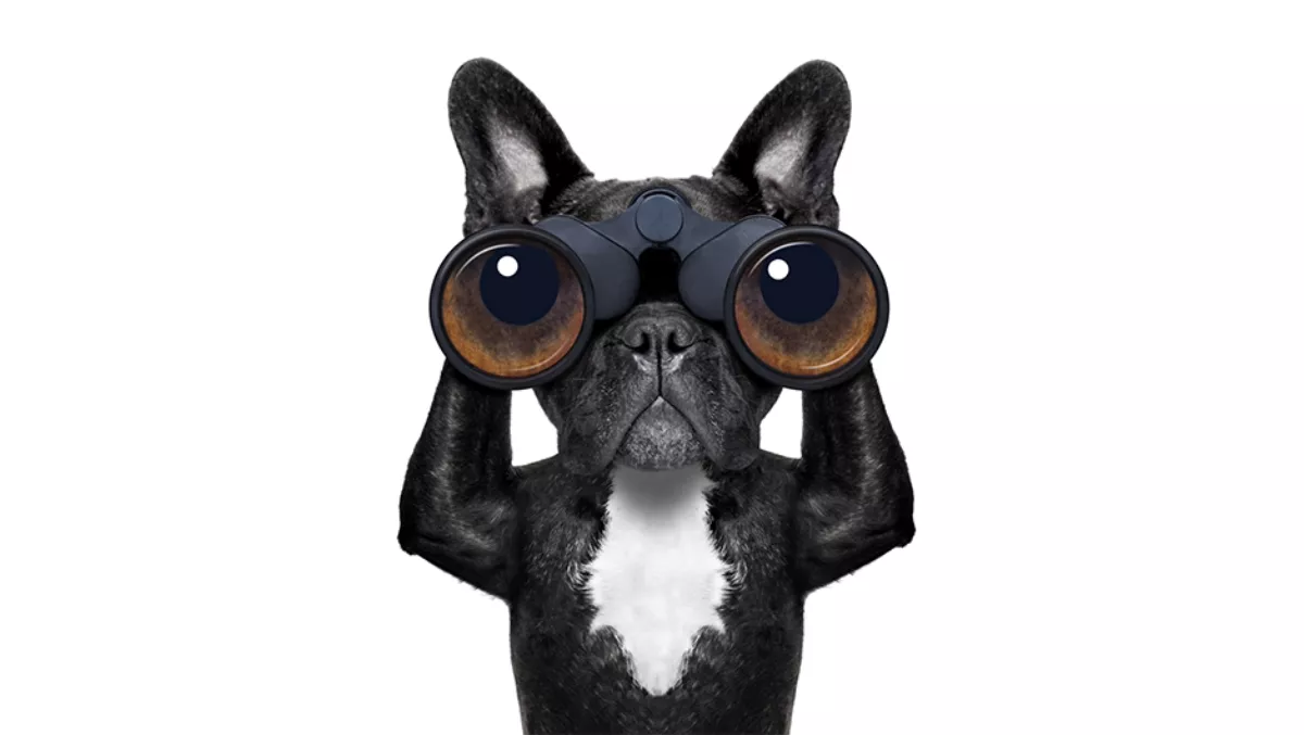 In plain sight: Avoiding loss of visibility and security in virtualised environments