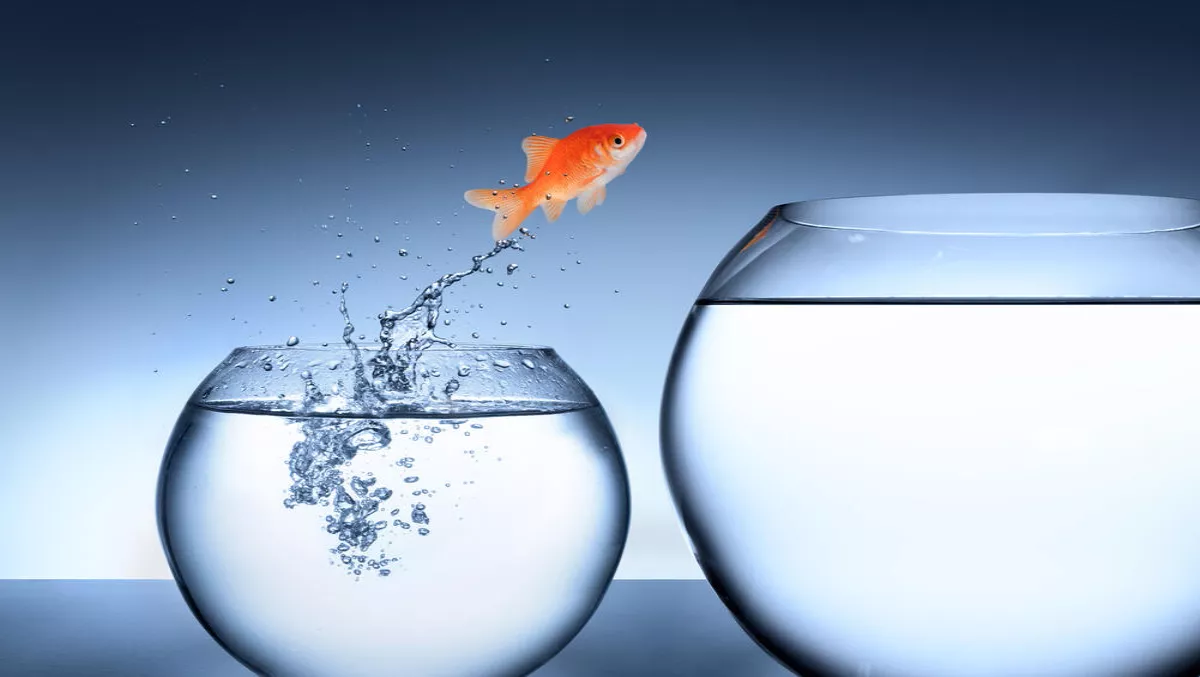IFS opinion: Are ANZ companies doing enough to transform themselves?