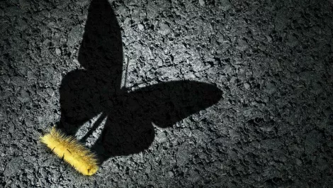 Gettyimages 1038975072