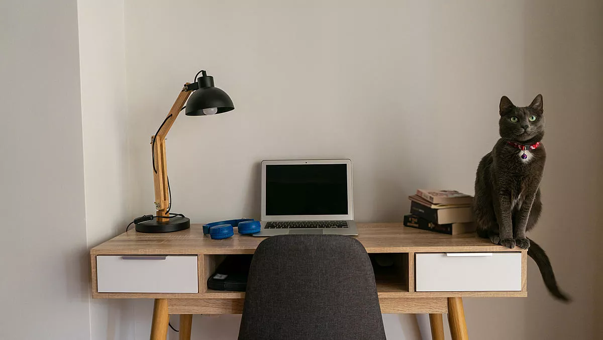 Google's 12 remote working tips for better productivity