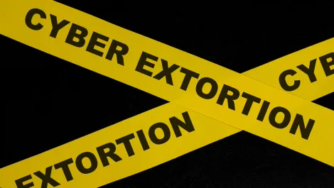 Gettyimages 1479005731